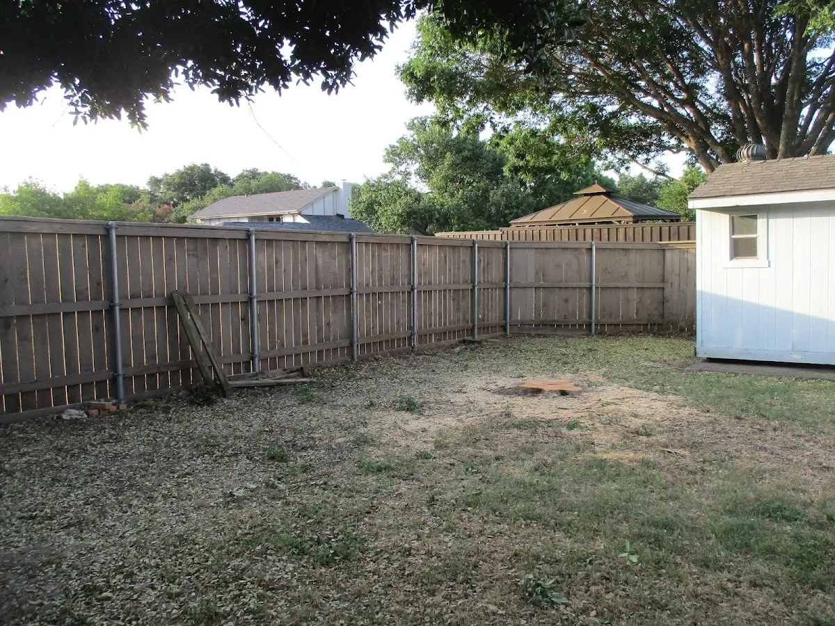 Cleared yard after professional tree removal in Lewisburg